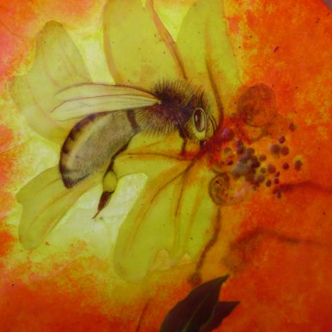 Bees 12