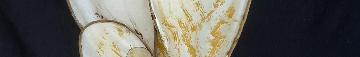 Cellulose Transformation 1