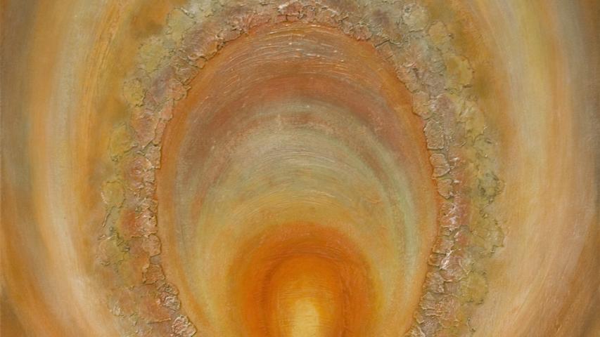 Planets and Metals