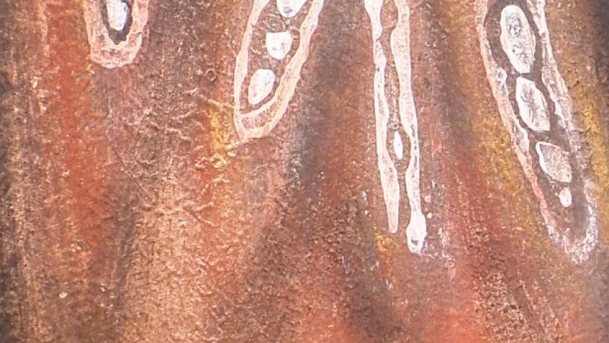 Natura Incognita