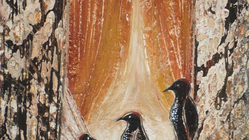 Natura Incognita