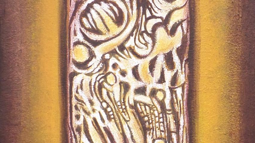 Natura Incognita
