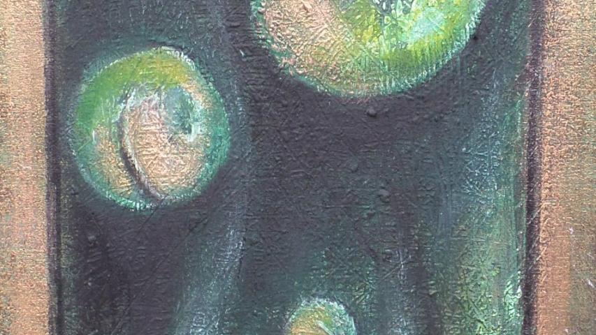 Natura Incognita