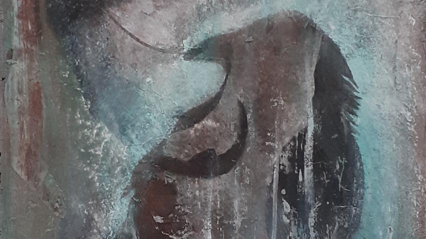 Anatomie du Corbeau 7