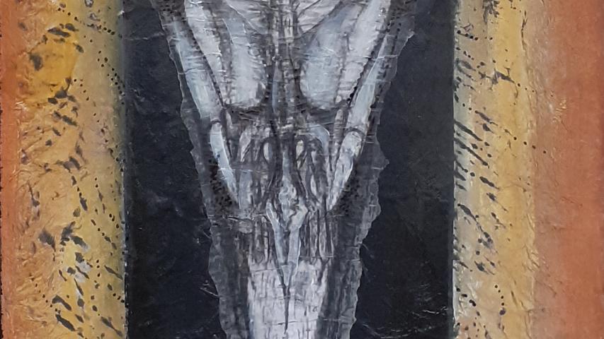 Anatomie du Corbeau 6