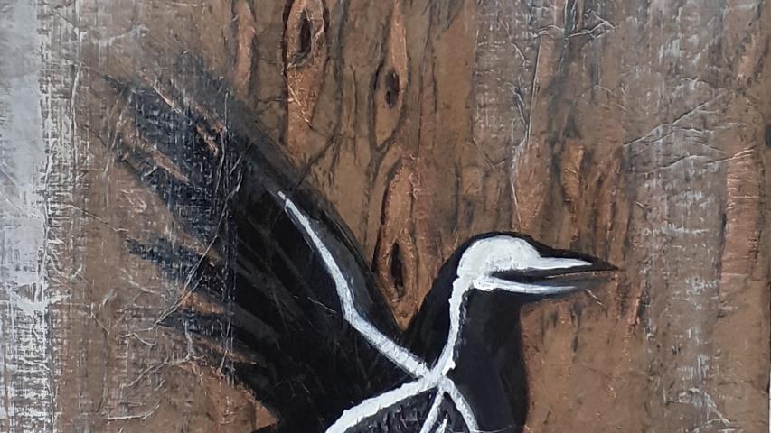Anatomie du Corbeau 5
