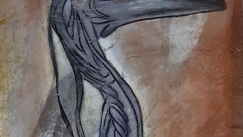 Anatomie du Corbeau 2