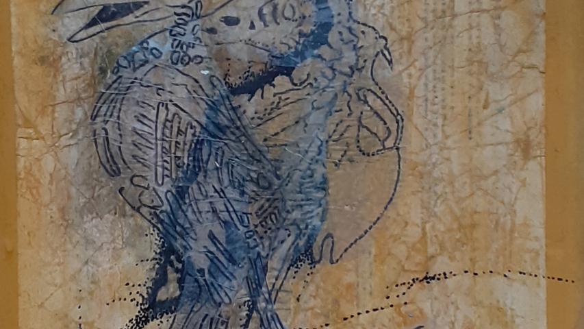 Anatomie du Corbeau 1