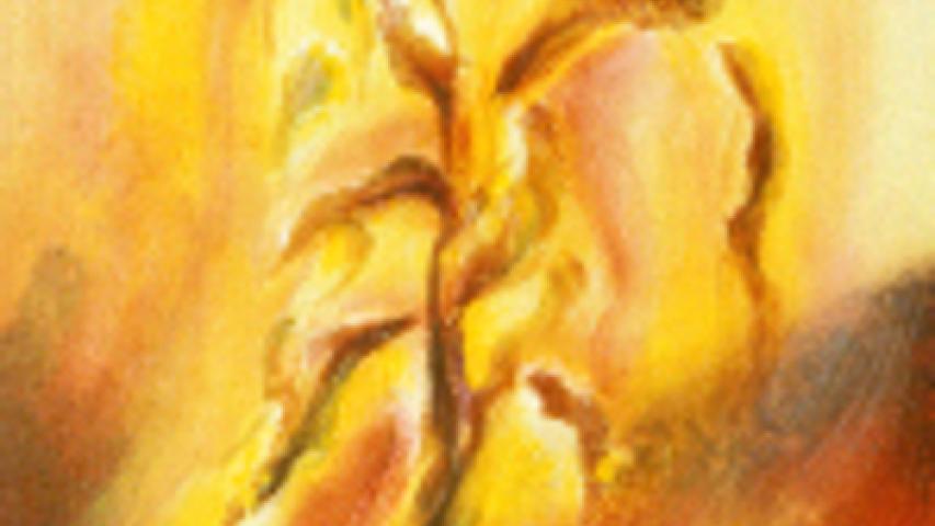 From Seed Thought to Seed Deed 6