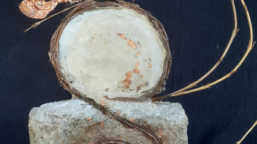 Cellulose Transformation 7