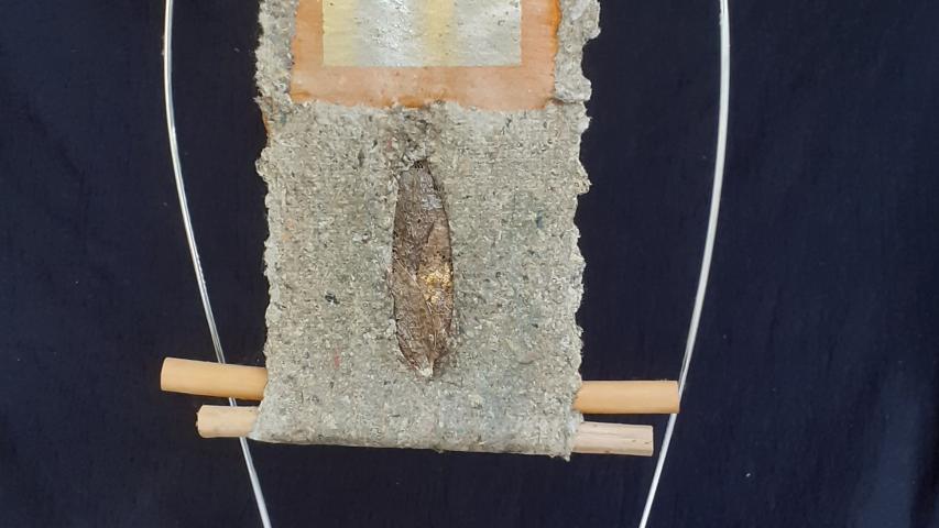 Cellulose Transformation 8