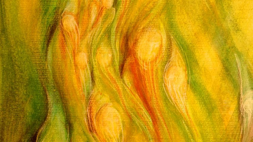 Esprits de la Nature