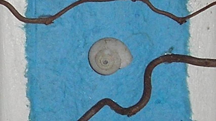 Escargot 3