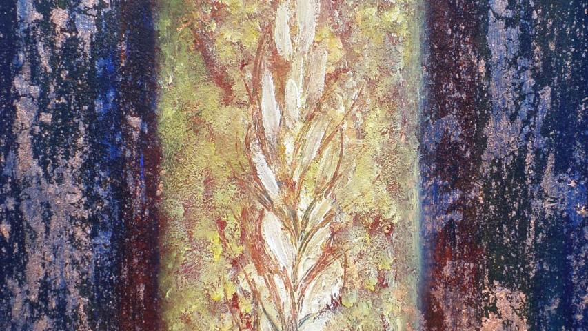 Natura Incognita 50