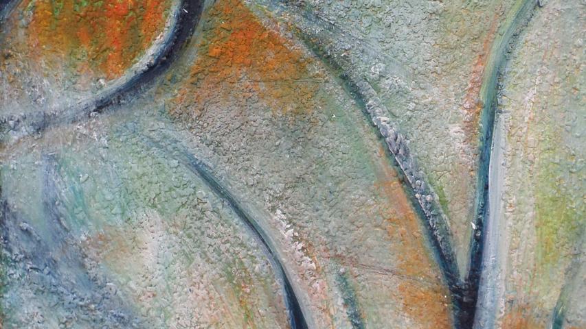 Natura Incognita 72