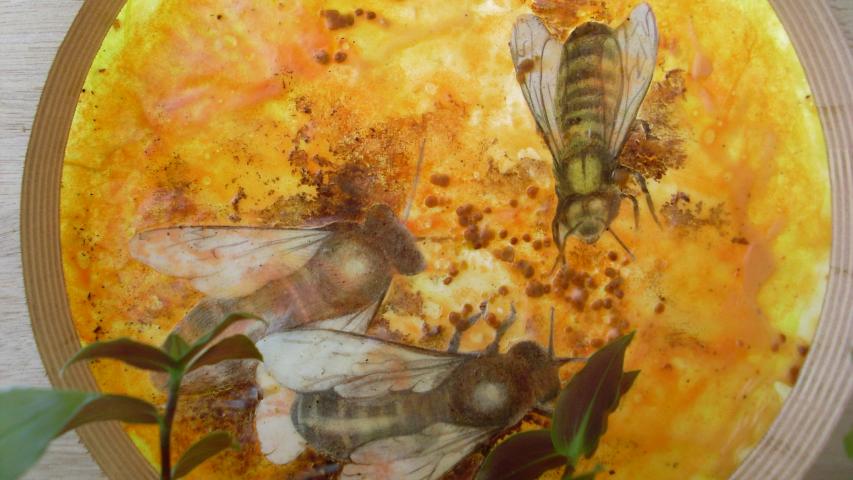 Bees 10