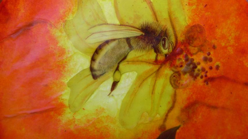 Bees 12