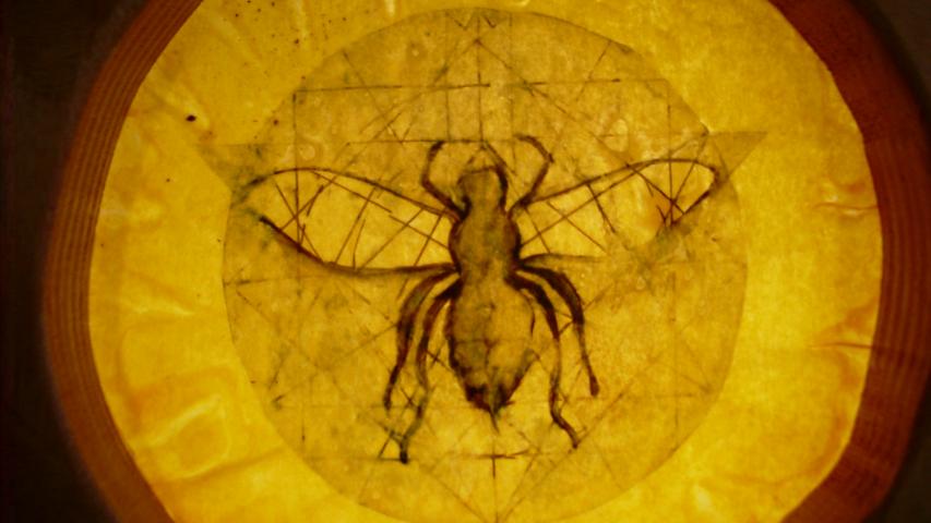 Bees 30