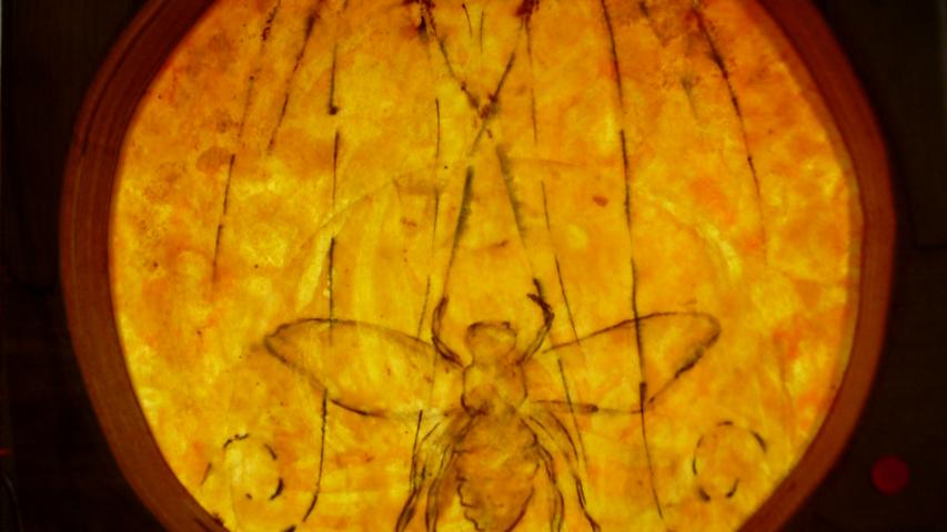 Bees 32