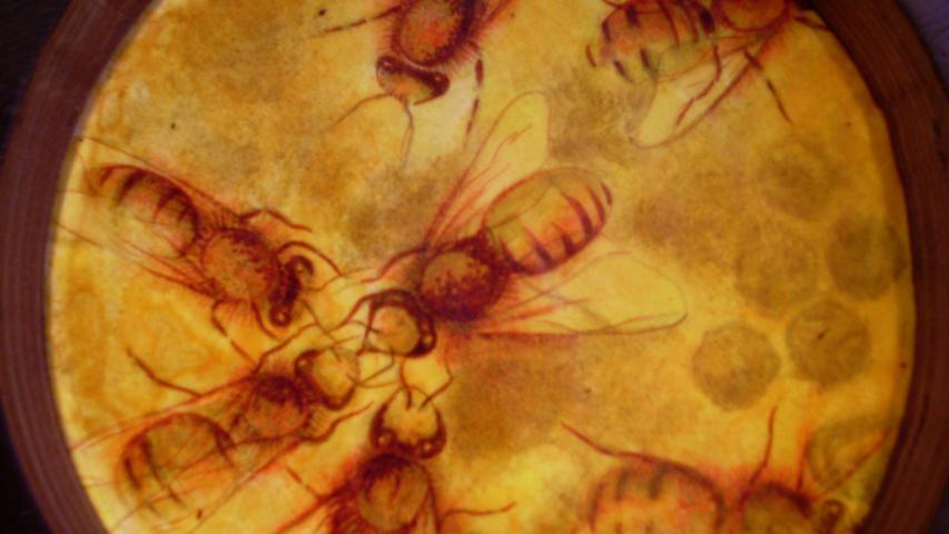 Bees 35