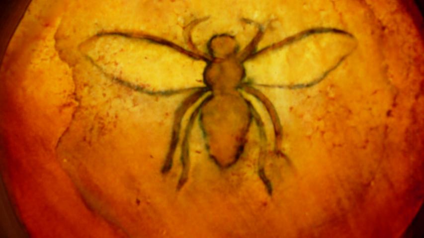 Bees 44