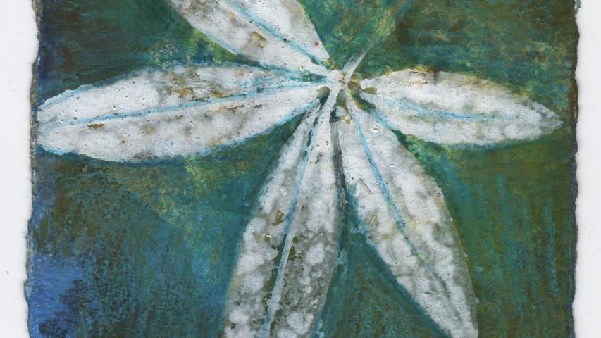 17 Juin