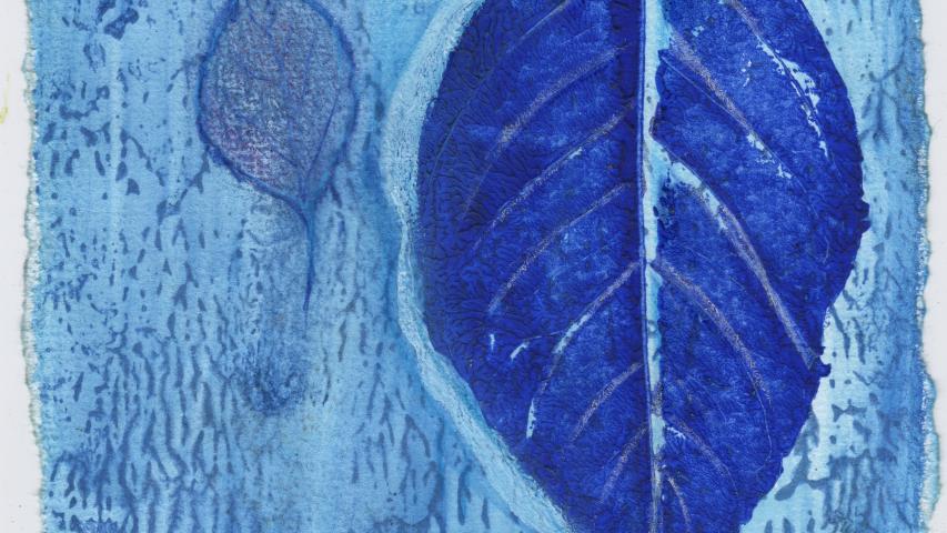 26 Novembre